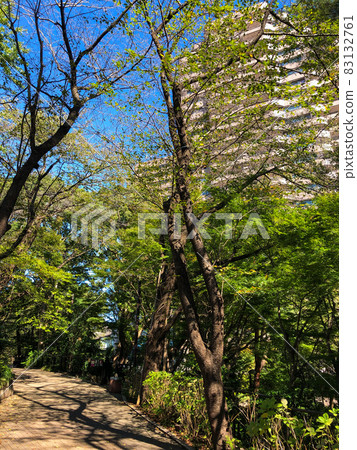 位於東京品川區御殿山丘陵的御殿山花園 83132761