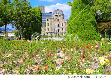 【廣島縣】晴天的原爆圓頂和玫瑰 83133030