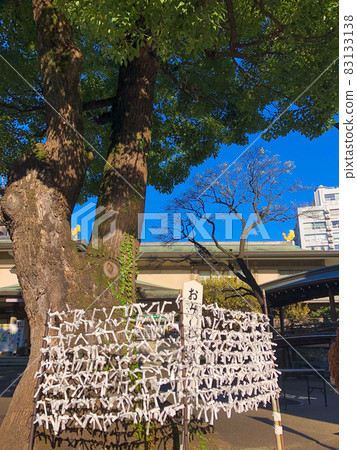 Yushima Tenjin, Tokyo 83133138