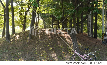 Bicycle down the hill in the sunlight Bicycle down the hill in the sunlight 83134243