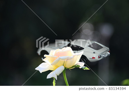 玫瑰和汽車 玫瑰和汽車 83134394