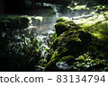 Scenery of a park with a mountain stream 83134794