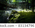 Scenery of a park with a mountain stream 83134796