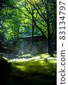 Scenery of a park with a mountain stream 83134797