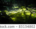 Scenery of a park with a mountain stream 83134802