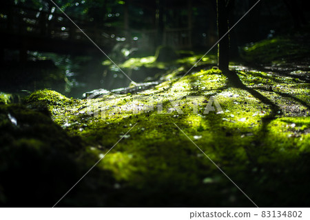 Scenery of a park with a mountain stream Scenery of a park with a mountain stream 83134802
