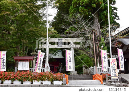 富士山東口本宮/須走口山路:富士淺間神社前鳥居和表參道 富士山東口本宮/須走口山路:富士淺間神社前鳥居和表參道 83134845