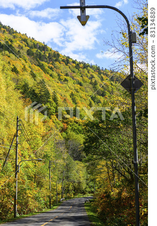 Autumn leaves of Asari Pass in Hokkaido Autumn leaves of Asari Pass in Hokkaido 83134889