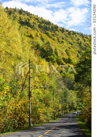 Autumn leaves of Asari Pass in Hokkaido Autumn leaves of Asari Pass in Hokkaido 83134890