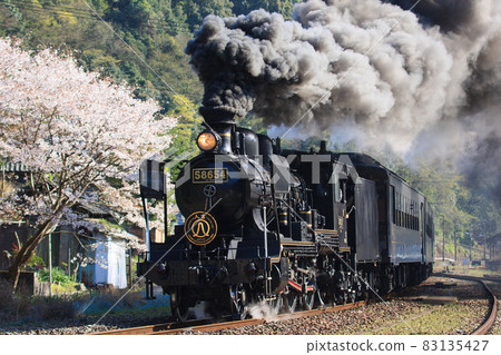 Sakura and "SL Hitoyoshi" (JR Kyushu) 83135427