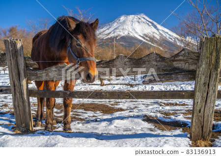 Winter ranch snow scene Mt. Fuji horse Asagiri plateau 83136913