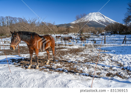 Winter ranch snow scene Mt. Fuji horse Asagiri plateau Winter ranch snow scene Mt. Fuji horse Asagiri plateau 83136915