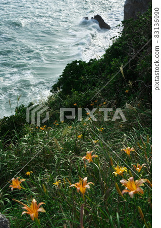 Cape Irago: Rough waves rushing to the forgotten autumn grass blooming Hinode Park 83136990
