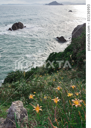 伊良湖岬：洶湧的海浪沖向被遺忘的秋草盛開的日之出公園 83136993
