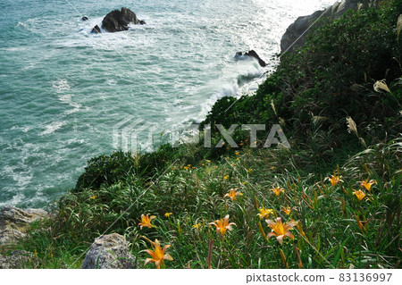 伊良湖岬：洶湧的海浪沖向被遺忘的秋草盛開的日之出公園 83136997
