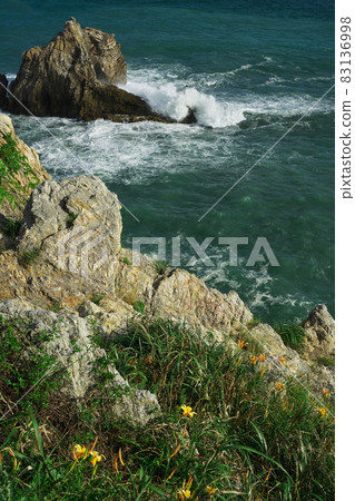 伊良湖岬:洶湧的海浪沖向被遺忘的秋草盛開的日之出公園 伊良湖岬:洶湧的海浪沖向被遺忘的秋草盛開的日之出公園 83136998