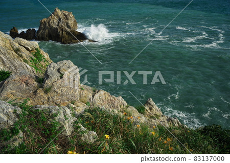 伊良湖岬:洶湧的海浪沖向被遺忘的秋草盛開的日之出公園 伊良湖岬:洶湧的海浪沖向被遺忘的秋草盛開的日之出公園 83137000