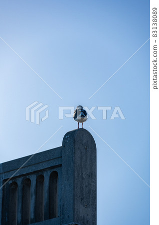 稚內港北防波堤圓頂-建設中 83138089
