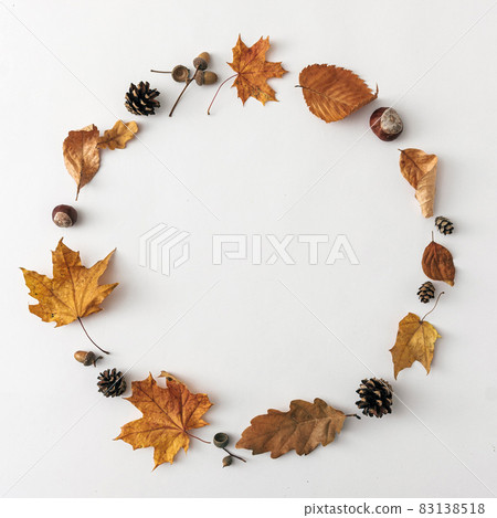 Round frame for text message from autumn leaves on white background, autumnal minimal concept Round frame for text message from autumn leaves on white background, autumnal minimal concept 83138518