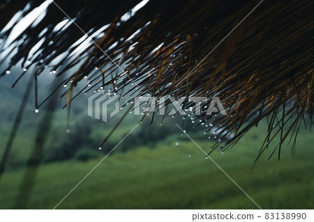 In a wooden hut in a green rice field 83138990