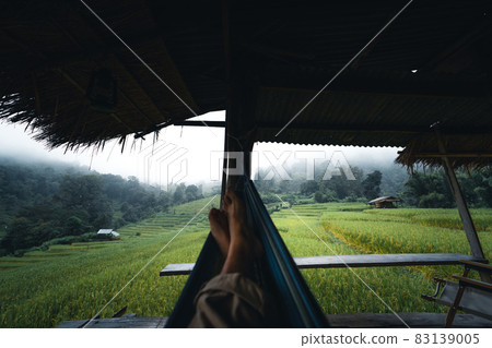 In a wooden hut in a green rice field In a wooden hut in a green rice field 83139005