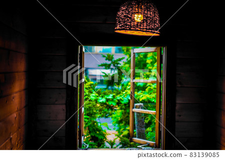 Fresh green seen from a dark room Fresh green seen from a dark room 83139085