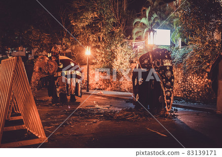 Image of Sri Lankan elephant (Sri Lankan candy) 83139171