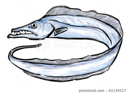 Hairtail swordfish illustration 83139527