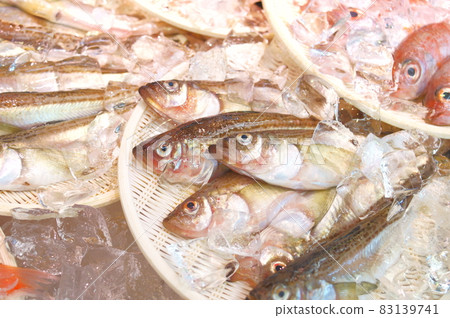 Fresh fish sold at the market on the Noto Peninsula 83139741