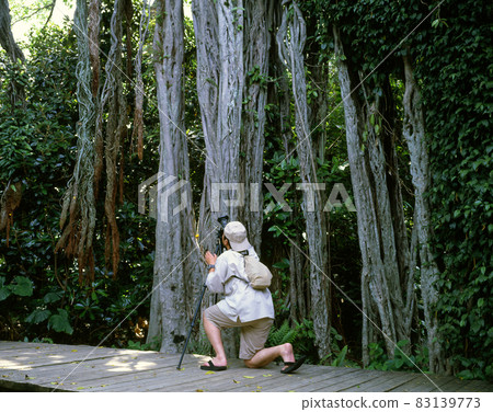 Shiodoko Gazjumar Park Shiodoko Gazjumar Park 83139773