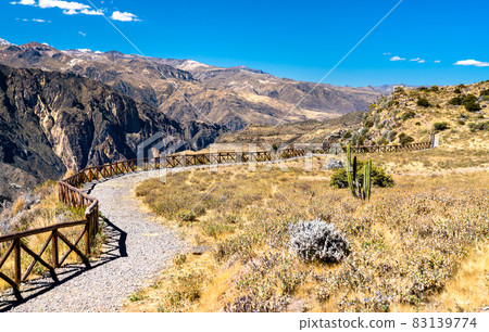 Hiking trail at the Colca Canyon in Peru 83139774