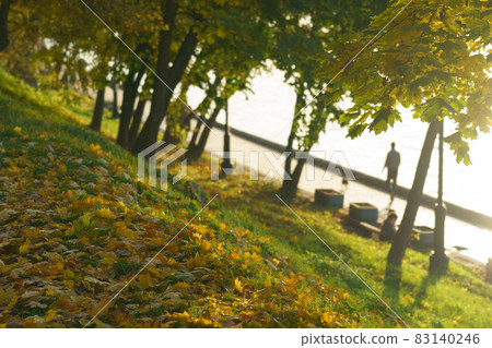 Somebody walking dog in the Moscow public park in autumn sunny day. Golden lush foliage. Moscva river embankment. Lifestyle and leisure concept. High angle view. Backs. rear view. Somebody walking dog in the Moscow public park in autumn sunny day. Golden lush foliage. Moscva river embankment. Lifestyle and leisure concept. High angle view. Backs. rear view. 83140246