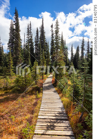 Hiking trail outdoors in Canadian nature. Sunny Fall Season. 83140795