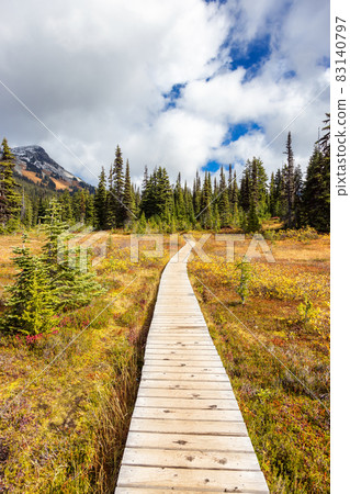 Hiking trail outdoors in Canadian nature. 83140797