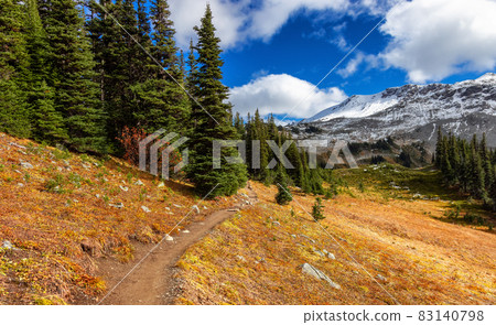 Hiking trail outdoors in Canadian nature. Sunny Fall Season. 83140798