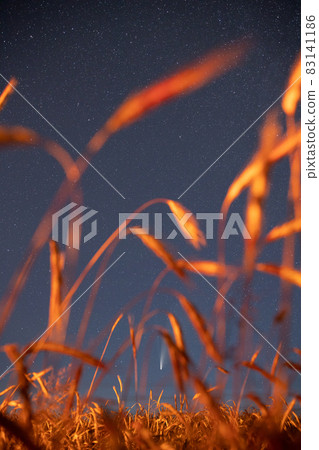 Belarus. 17 July 2020. Comet Neowise C 2020 F3 Shines Bright In The Night Starry Sky Above Young Wheat Field. Night Stars Above Summer Agricultural Field In July Month. Comet At A Distance Of 104 83141186