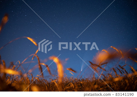 Belarus. 17 July 2020. Comet Neowise C 2020 F3 Shines Bright In The Night Starry Sky Above Young Wheat Field. Night Stars Above Summer Agricultural Field In July Month. Comet At A Distance Of 104 Belarus. 17 July 2020. Comet Neowise C 2020 F3 Shines Bright In The Night Starry Sky Above Young Wheat Field. Night Stars Above Summer Agricultural Field In July Month. Comet At A Distance Of 104 83141190