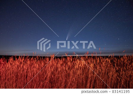 Belarus. 17 July 2020. Comet Neowise C 2020 F3 Shines Bright In The Night Starry Sky Above Young Wheat Field. Night Stars Above Summer Agricultural Field In July Month. Comet At A Distance Of 104 83141195