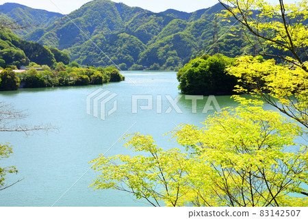 Lake Tanzawa Scenery of Yamakita Town, Kanagawa Prefecture Lake Tanzawa Scenery of Yamakita Town, Kanagawa Prefecture 83142507