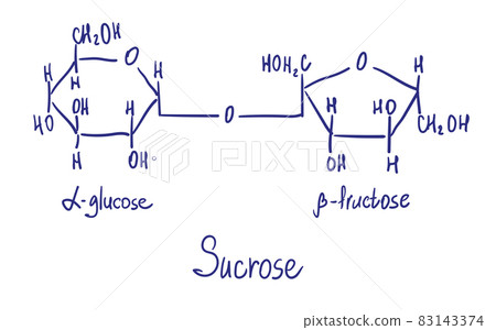 Sucrose chemical structure. Vector illustration Hand drawn 83143374