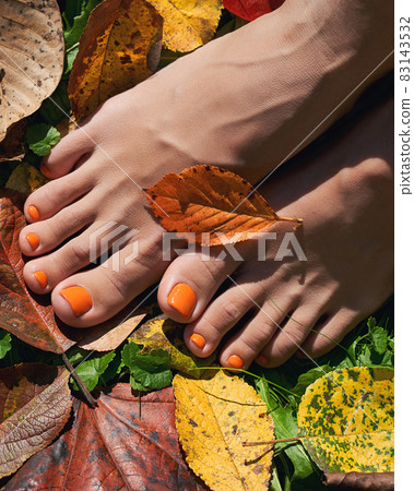 Beautiful bare woman feet close up. Orange pedicure on the autumn background. Yellow and red fallen leaves. Beautiful bare woman feet close up. Orange pedicure on the autumn background. Yellow and red fallen leaves. 83143532