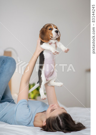 A young woman holding her little cute puppy abd feeling peaceful A young woman holding her little cute puppy abd feeling peaceful 83144245