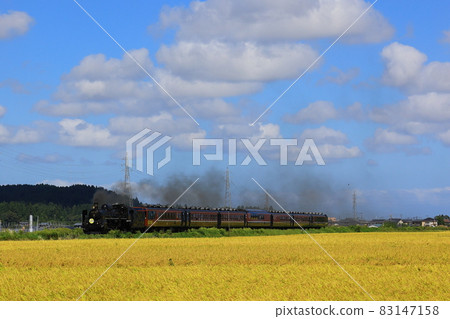 SL Banetsu Monogatari 穿過金色稻田 SL Banetsu Monogatari 穿過金色稻田 83147158