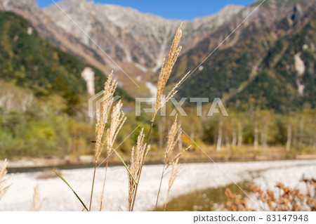 Scenery around Kamikochi in autumn 83147948