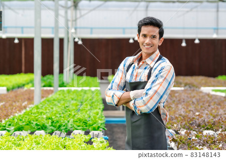 man smiling arms crossed in hydroponic vegetables farm 83148143