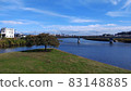 A river and a tree on a sunny day 83148885