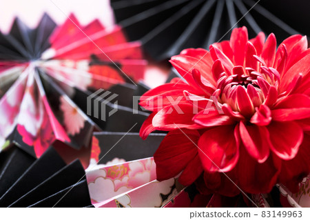 日式紅色大麗花背景素材 83149963