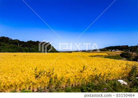 ≪秋田≫ 男鹿半島的稻畑 ≪秋田≫ 男鹿半島的稻畑 83150464