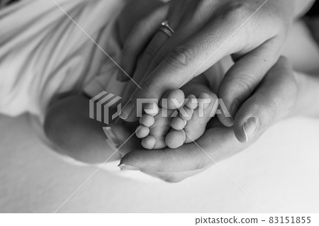 Hands of parents. The legs, feet of the newborn in the hands of mom and dad. Hands of parents. The legs, feet of the newborn in the hands of mom and dad. 83151855