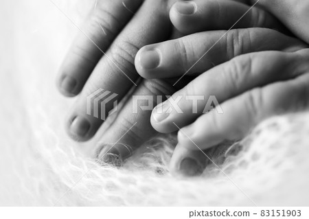 Child's hand, fingers close up. Newborn baby hands, happy childhood concept, healthcare, IVF, hygiene. Black and white photo. 83151903